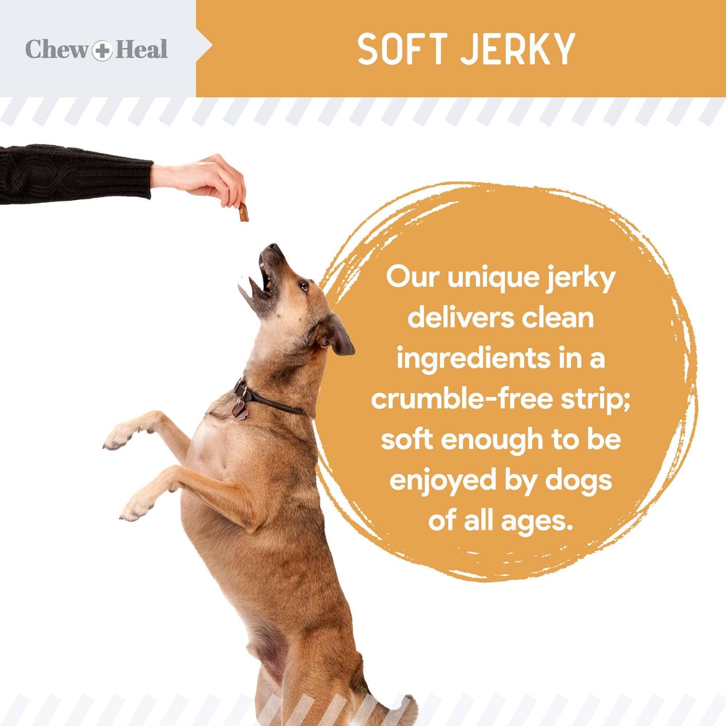 Chew + Heal : Wild Alaskan Omega Soft Jerky Treats for Dogs - 5oz. Bag