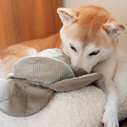 Lambwolf Collective - CABBAGE POP//ENRICHMENT DOG TOY: Green / Large