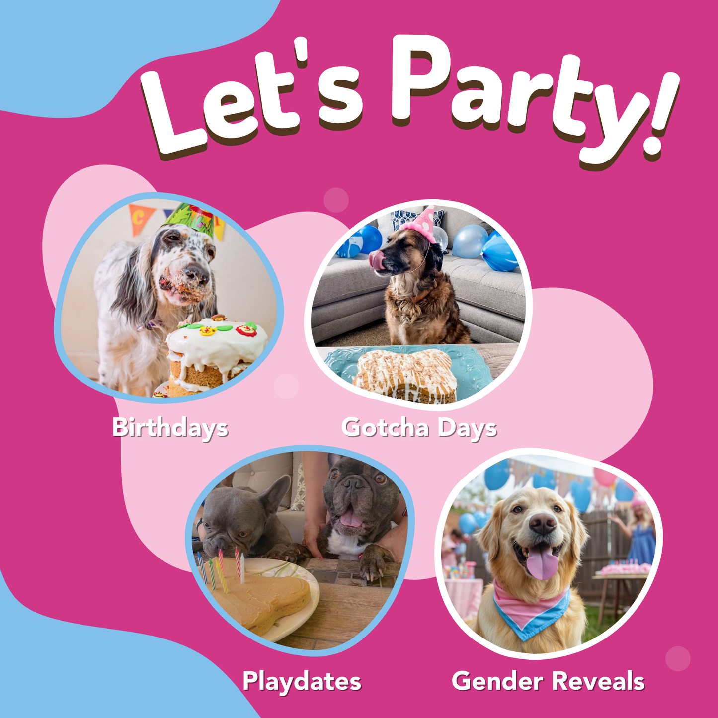 Dog Birthday Cake Kit - Birthday Cake with Pupfetti Sprinkles