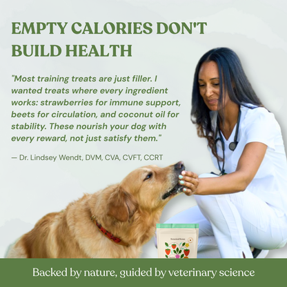 Botanical Bones - Love Bites - Organic Dog Treats, Strawberry & Peanut Butter