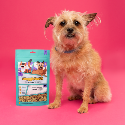 Snaggletooth: Lamb Liver - Freeze Dried Raw Teeny Tiny Treats