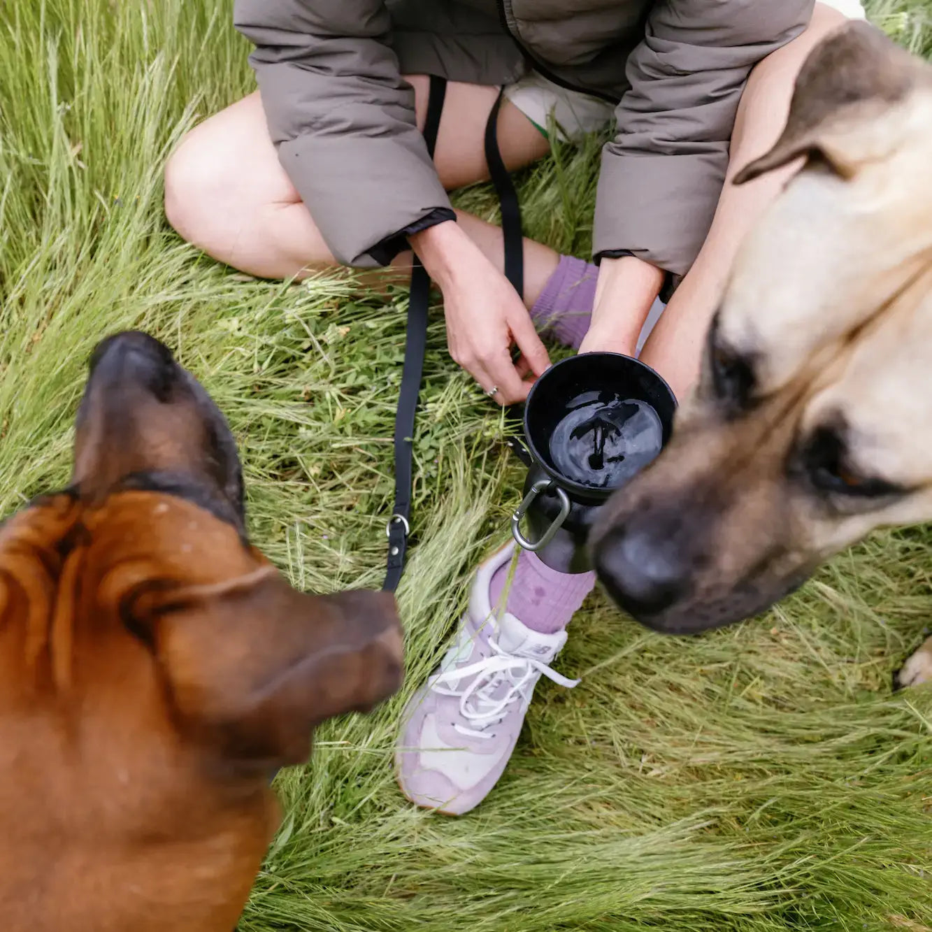 Dog Travel Water Bottle - 20oz Flip : Black