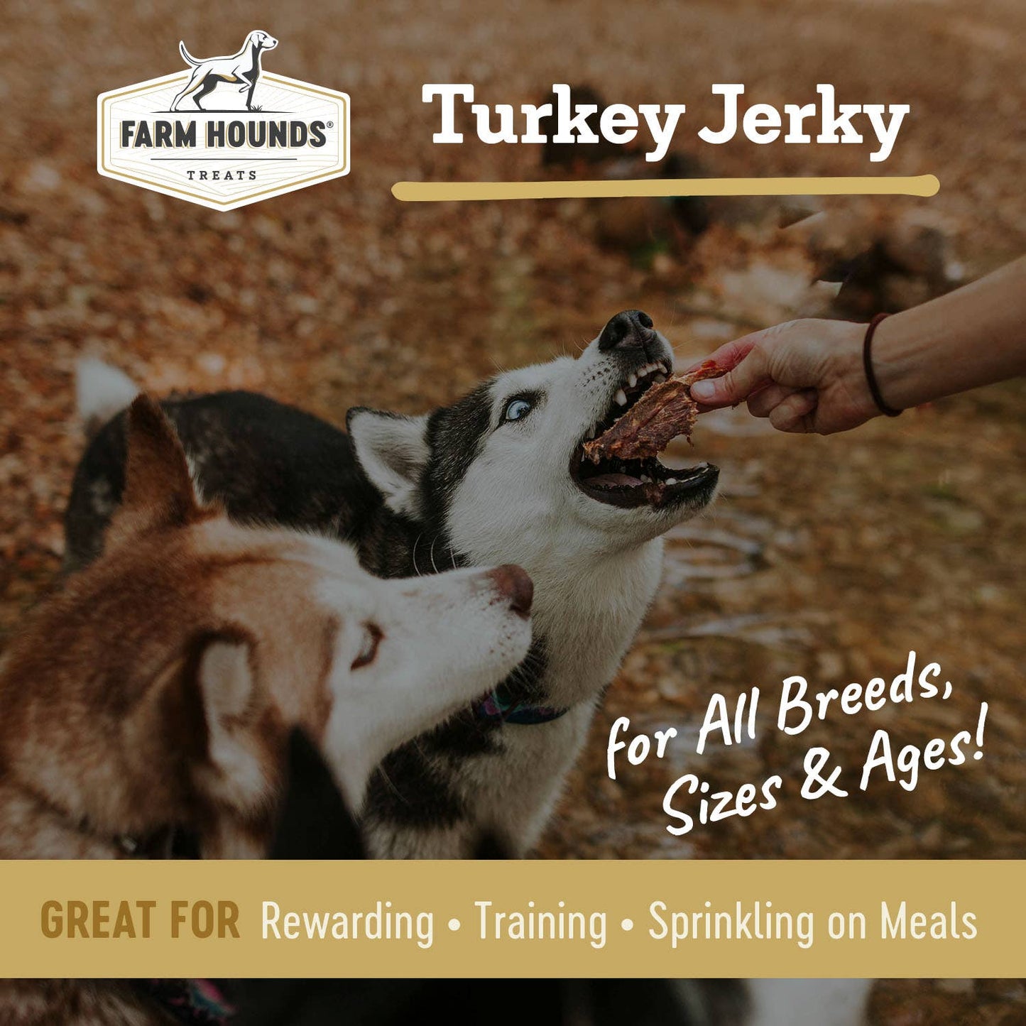Farm Hounds - Turkey Jerky - All-Natural Dog Treats - 3.5oz: 3.5oz