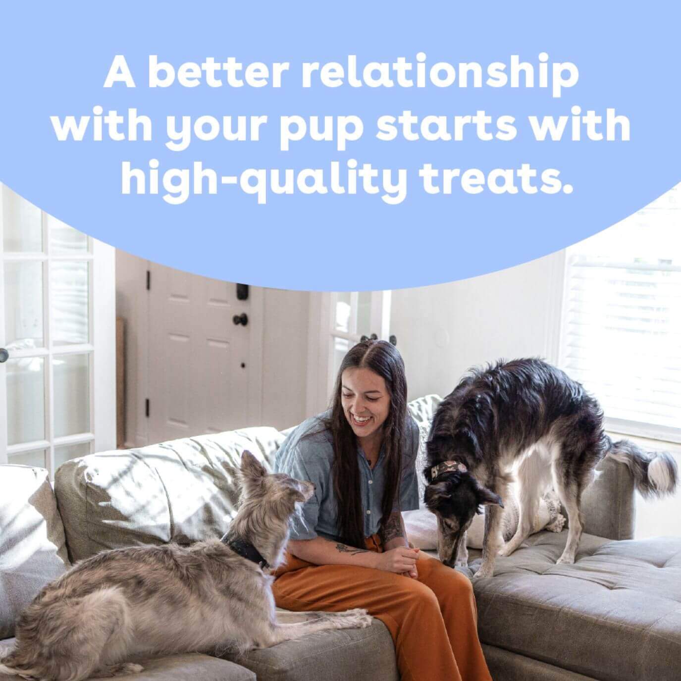 Pupford - Collagen Stick: 4 Pack