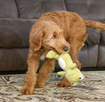 ThoozyPet Tuff & Cuddly Frog Plush Dog Toy 12.5"