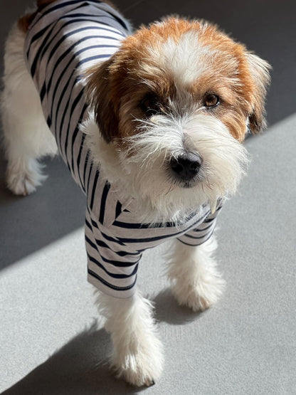 French Stripe Dog T-shirts - Oatmeal & Navy