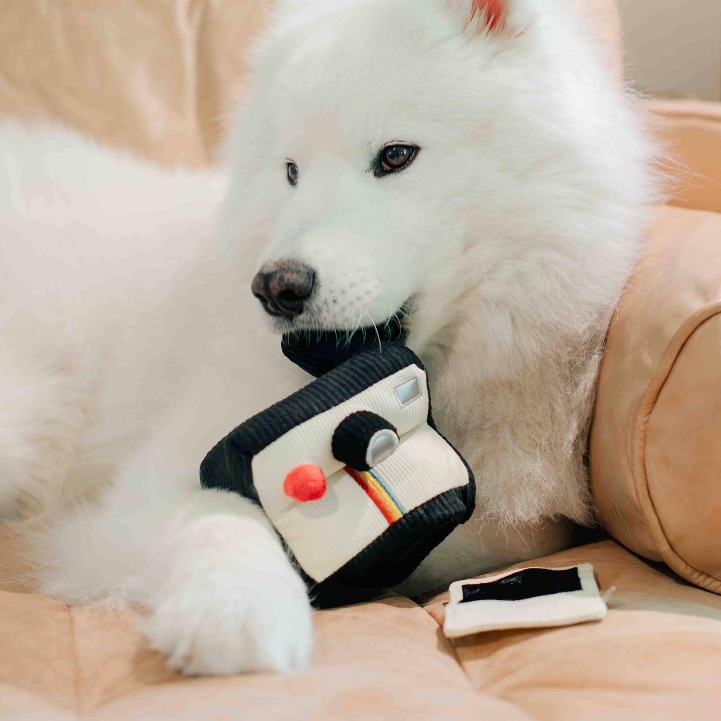 Lambwolf Collective - INSTANT CAMERA // ENRICHMENT DOG TOY