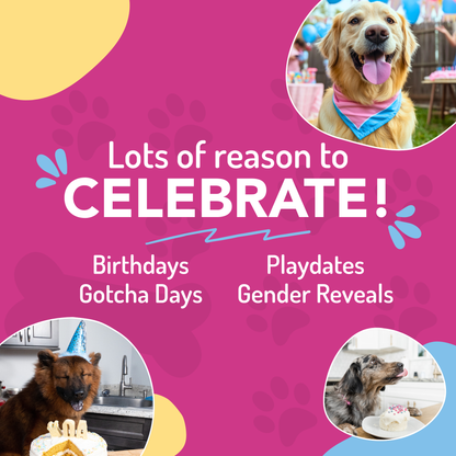Dog Birthday Cake Kit - Birthday Cake with Pupfetti Sprinkles