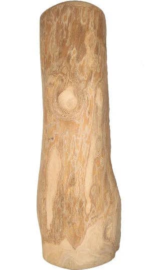 Advance Pet Products - All-Natural Wood Chews for Dogs! Olive Wood and Coffee Wood: Single / Extra Large