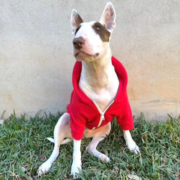 Zip Up Dog Hoodie  - Vintage Red