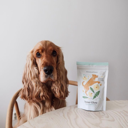 Botanical Bones - Inner Glow Cookies - All Natural, Organic Dog Treats