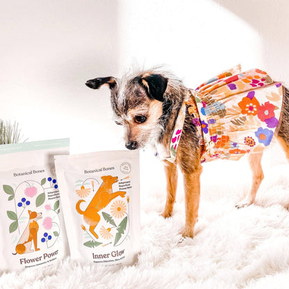 Botanical Bones - Inner Glow Cookies - All Natural, Organic Dog Treats