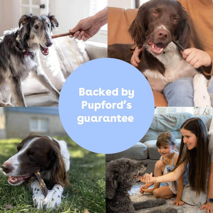 Pupford - Collagen Stick: 4 Pack