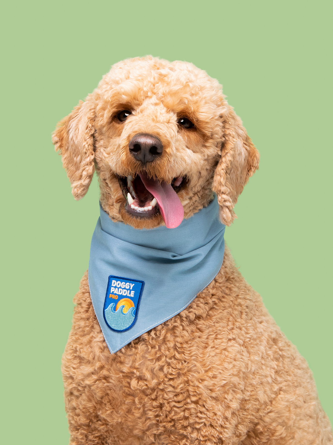 Scout's Honor - Doggy Paddle Pro iron-on patch for dogs