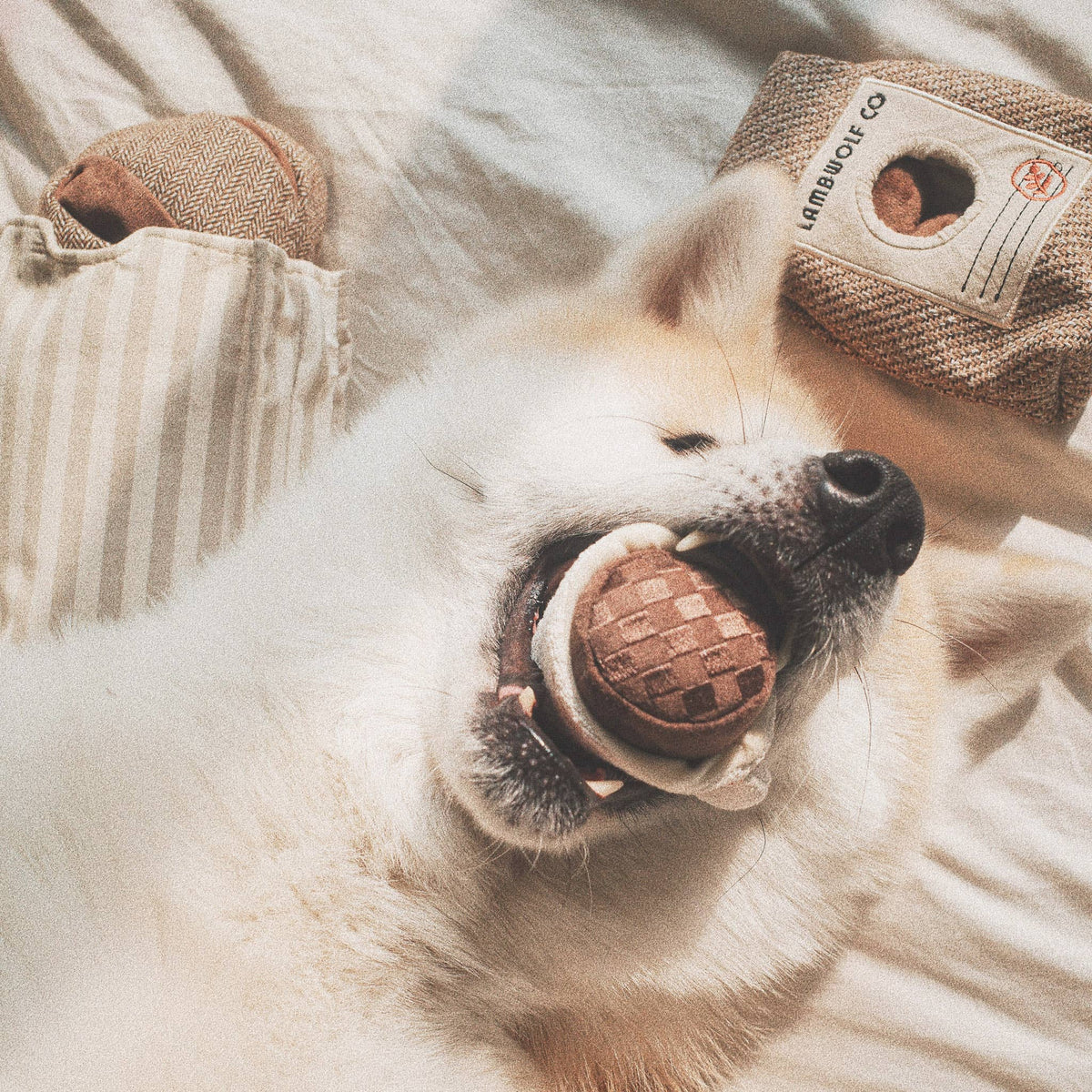 Lambwolf Collective - ESPRESSO POP // ENRICHMENT DOG TOY // Squeaky Ball