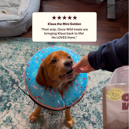 Once Wild - 100% Bison Liver Treats