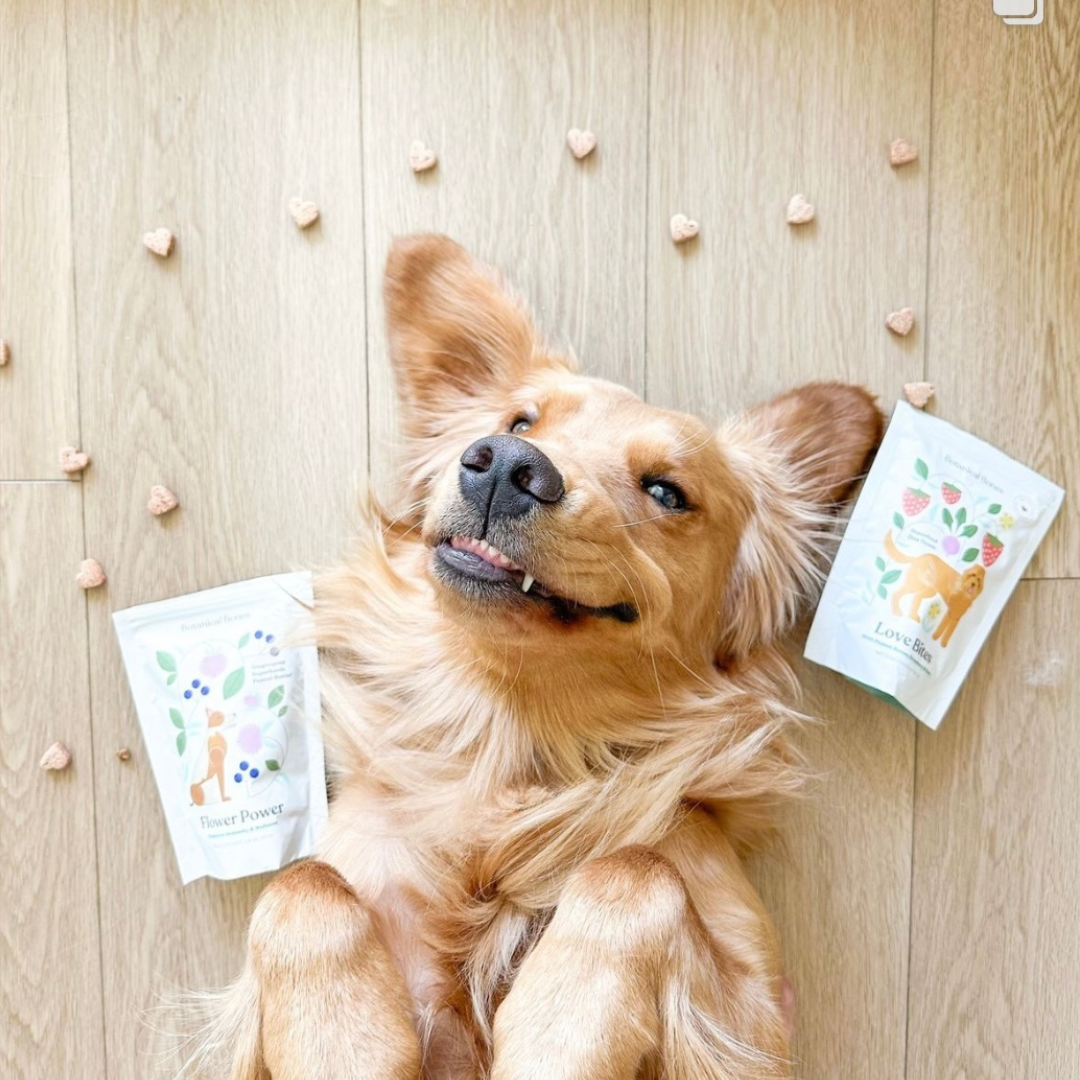 Botanical Bones - Love Bites - Organic Dog Treats, Strawberry & Peanut Butter