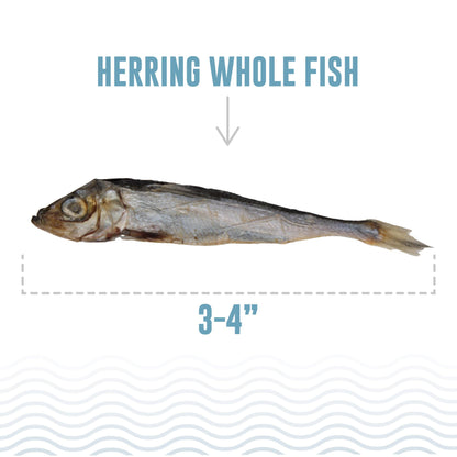 Icelandic+ - Herring Whole Fish Dog Treats 3.0 oz