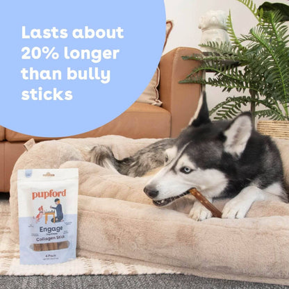 Pupford - Collagen Stick: 4 Pack