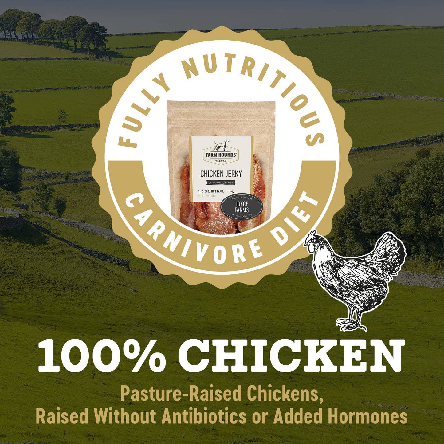 Farm Hounds - Chicken Jerky - All-Natural Dog Treats - 3.5oz: 3.5oz