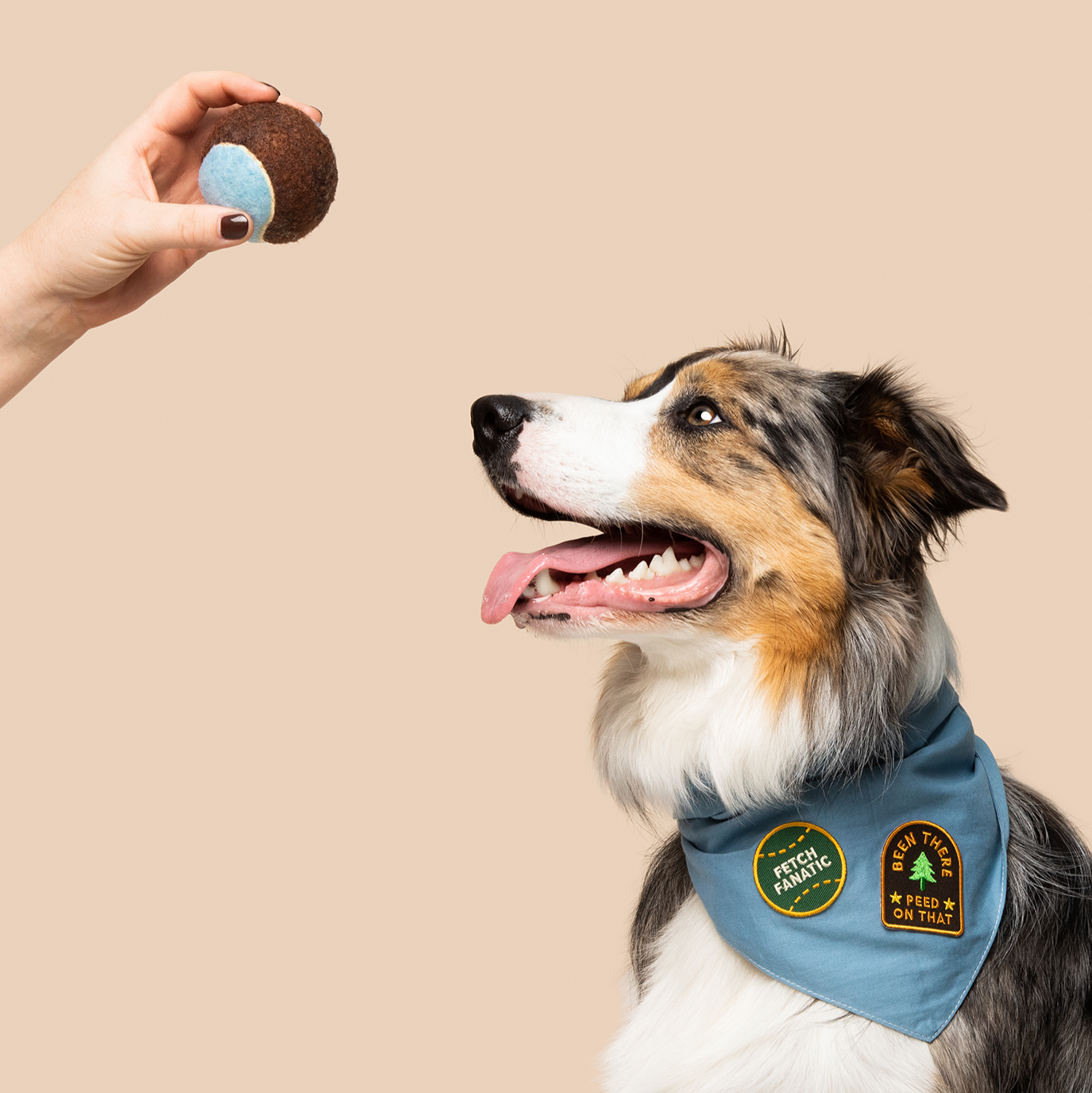 Scout's Honour - Fetch Fanatic iron- on patch for dogs