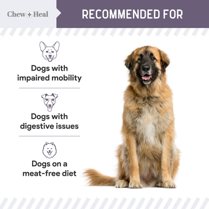 Chew + Heal : Senior Wild Alaskan Salmon Limited Ingredient Dog Treats: 5oz