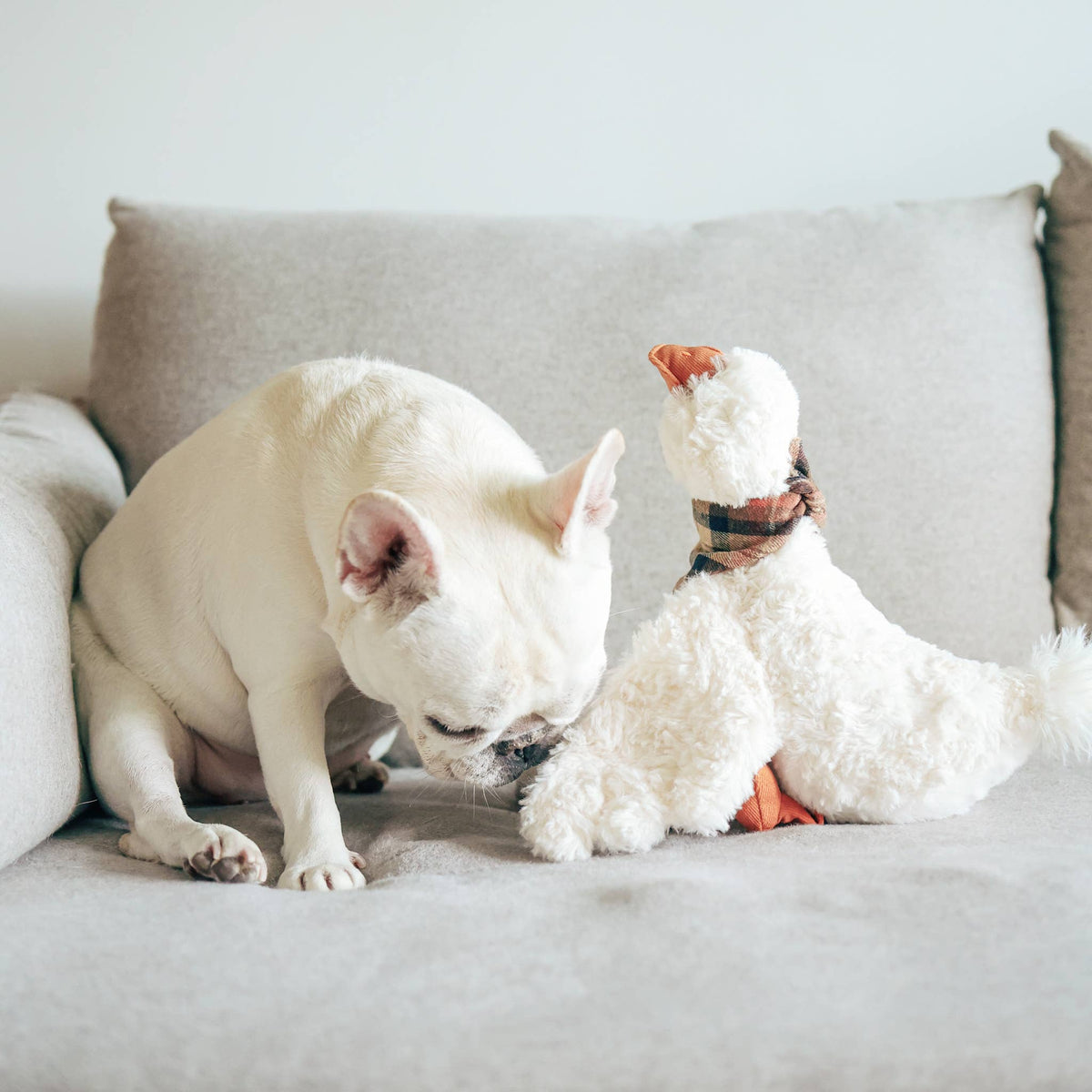 Lambwolf Collective - GUS // ENRICHMENT DOG TOY // Cuddle + Plush Toy