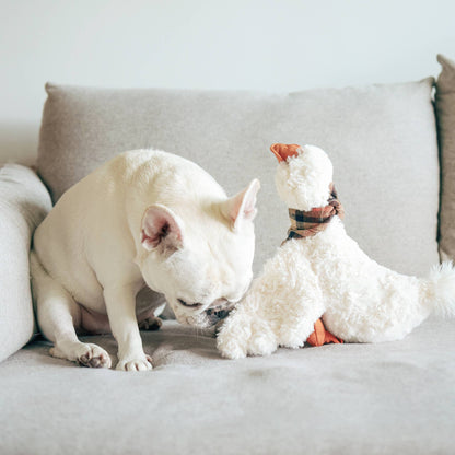 Lambwolf Collective - GUS // ENRICHMENT DOG TOY // Cuddle + Plush Toy