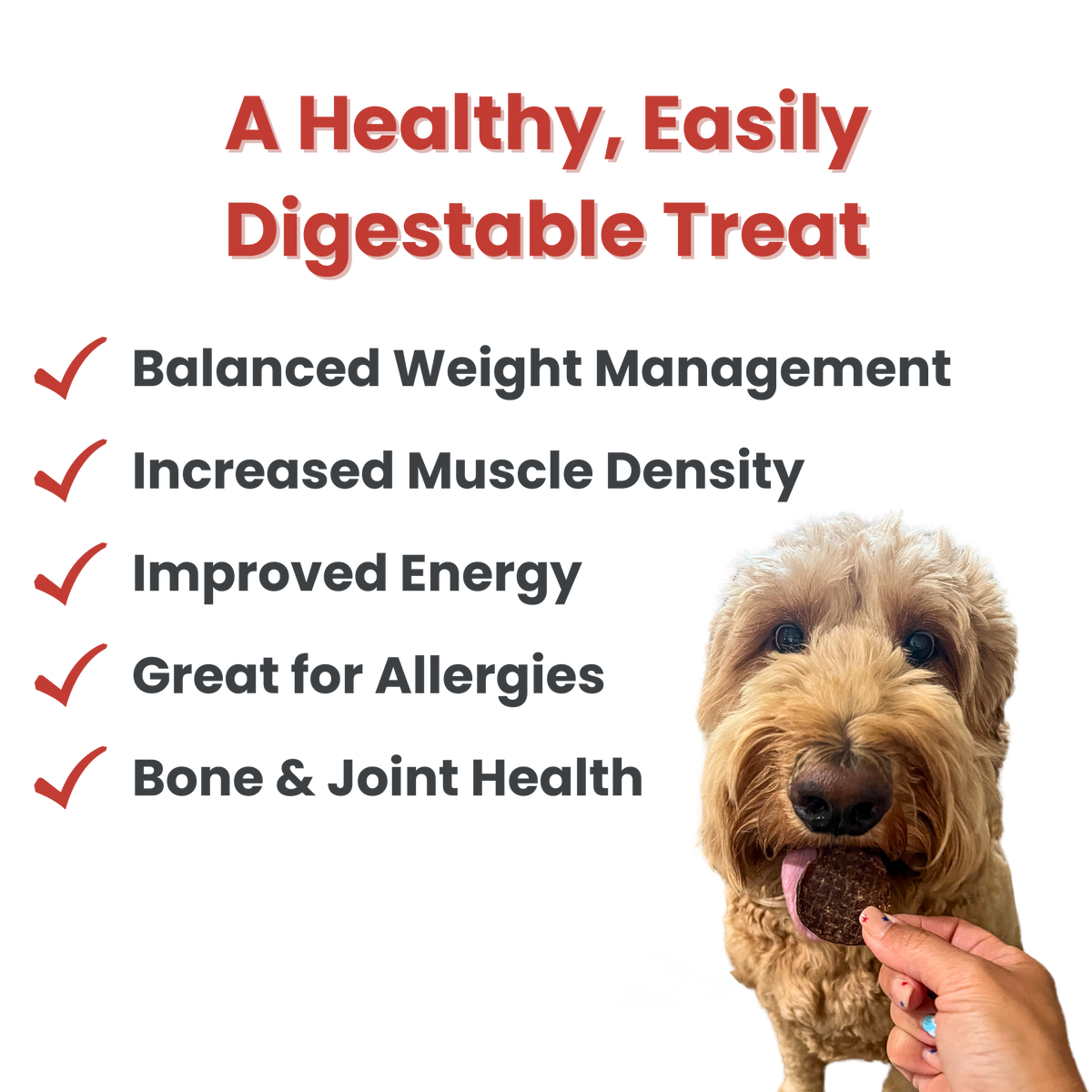 Farm To Pet - Beef Chips Dog Treats – Made in USA: Standard 4oz