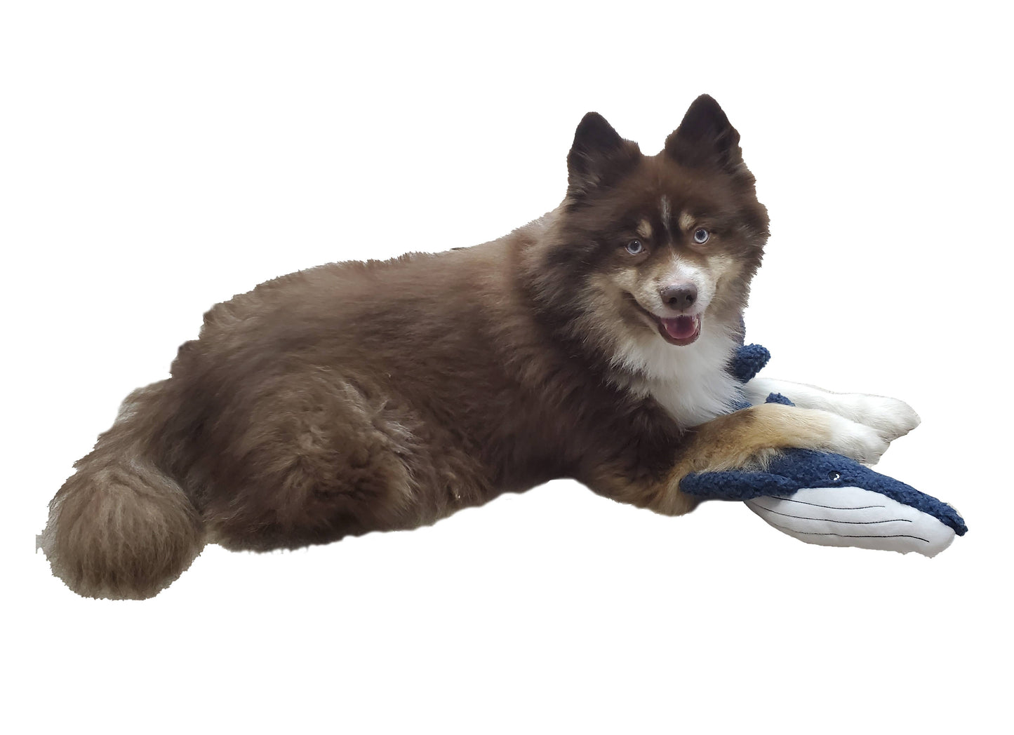 Dog Star - Winston the Blue Whale Fleece Dog Toy