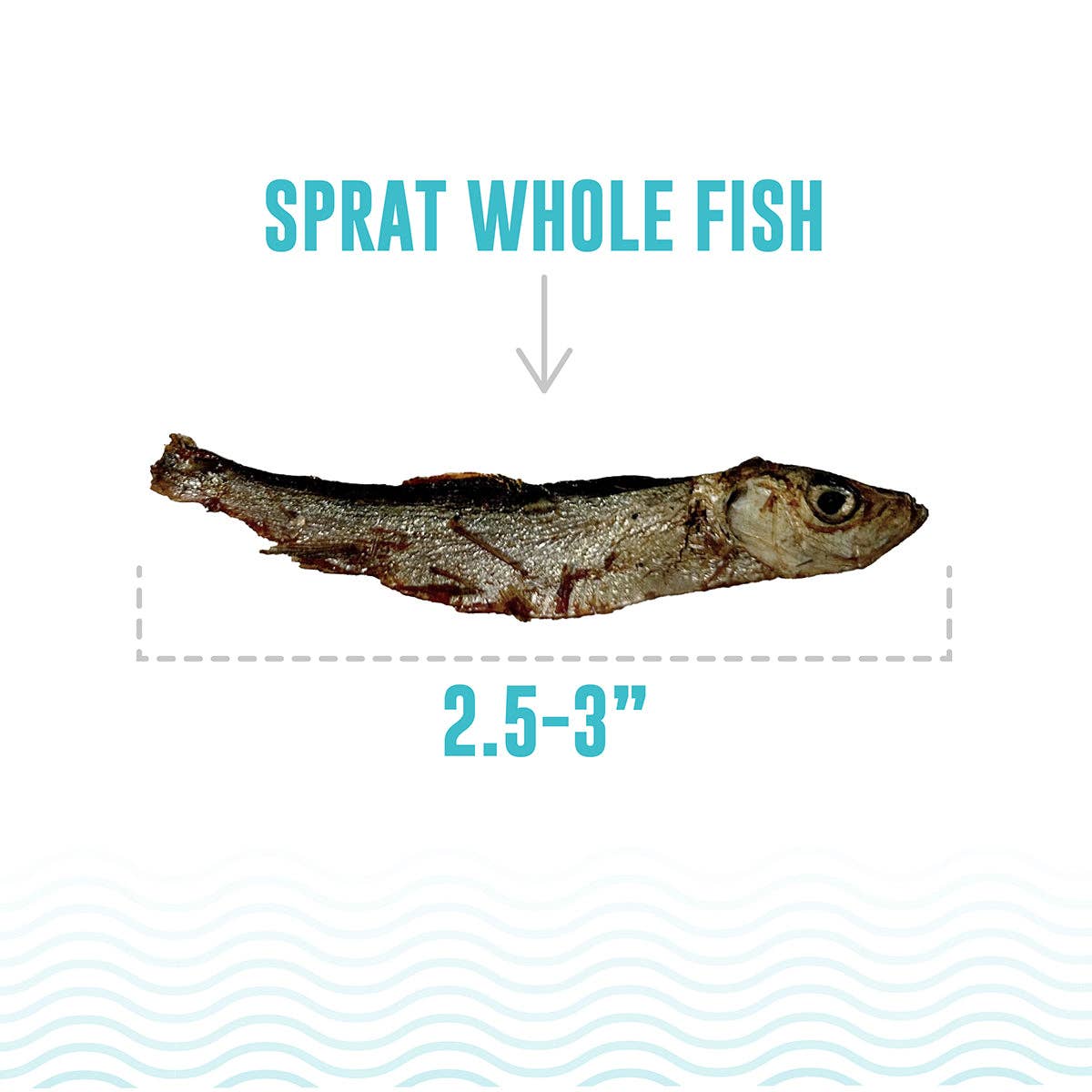 Icelandic+ - Sprat Whole Fish Dog Treats 2.0 oz