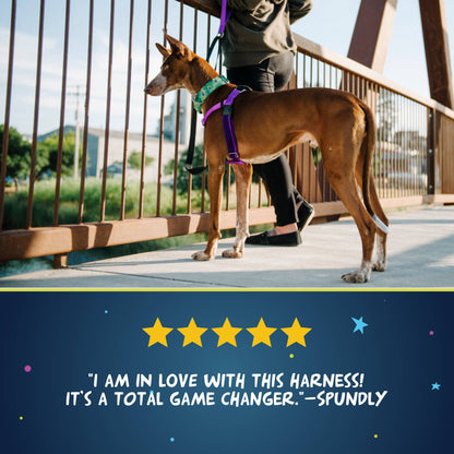 2 Hounds Design - Tan Freedom No-Pull Dog Harness