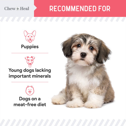 Chew + Heal : Puppy Wild Alaskan Salmon Limited Ingredient Dog Treats: 5oz