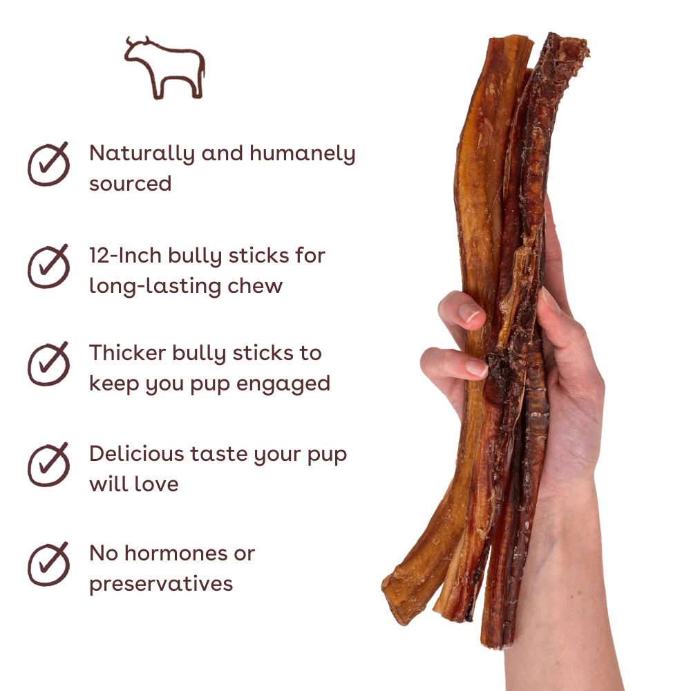 Bully Stick Dog Chew 12" 4 Pack