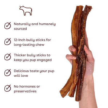 Bully Stick Dog Chew 12" 4 Pack