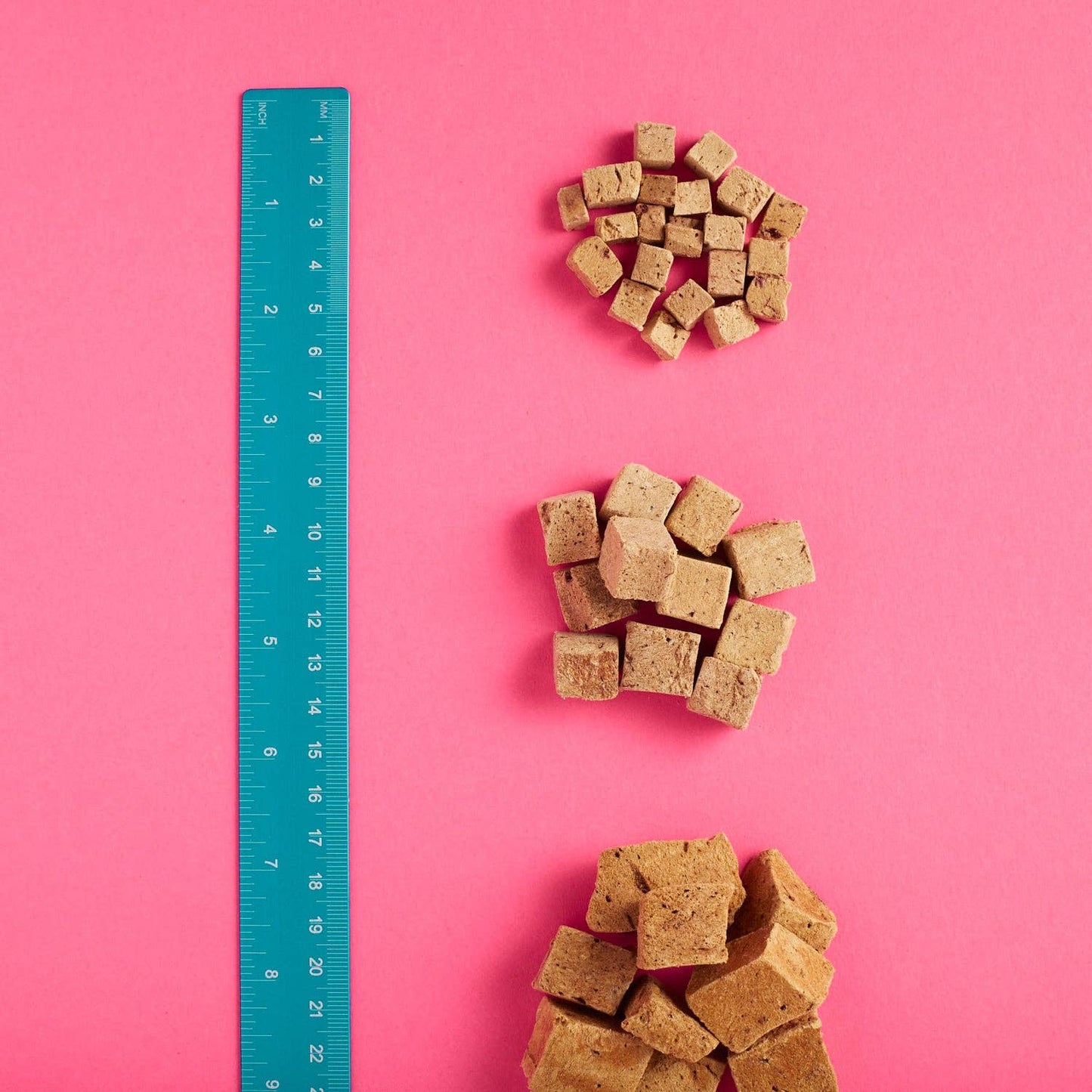 Snaggletooth: Lamb Liver - Freeze Dried Raw Teeny Tiny Treats