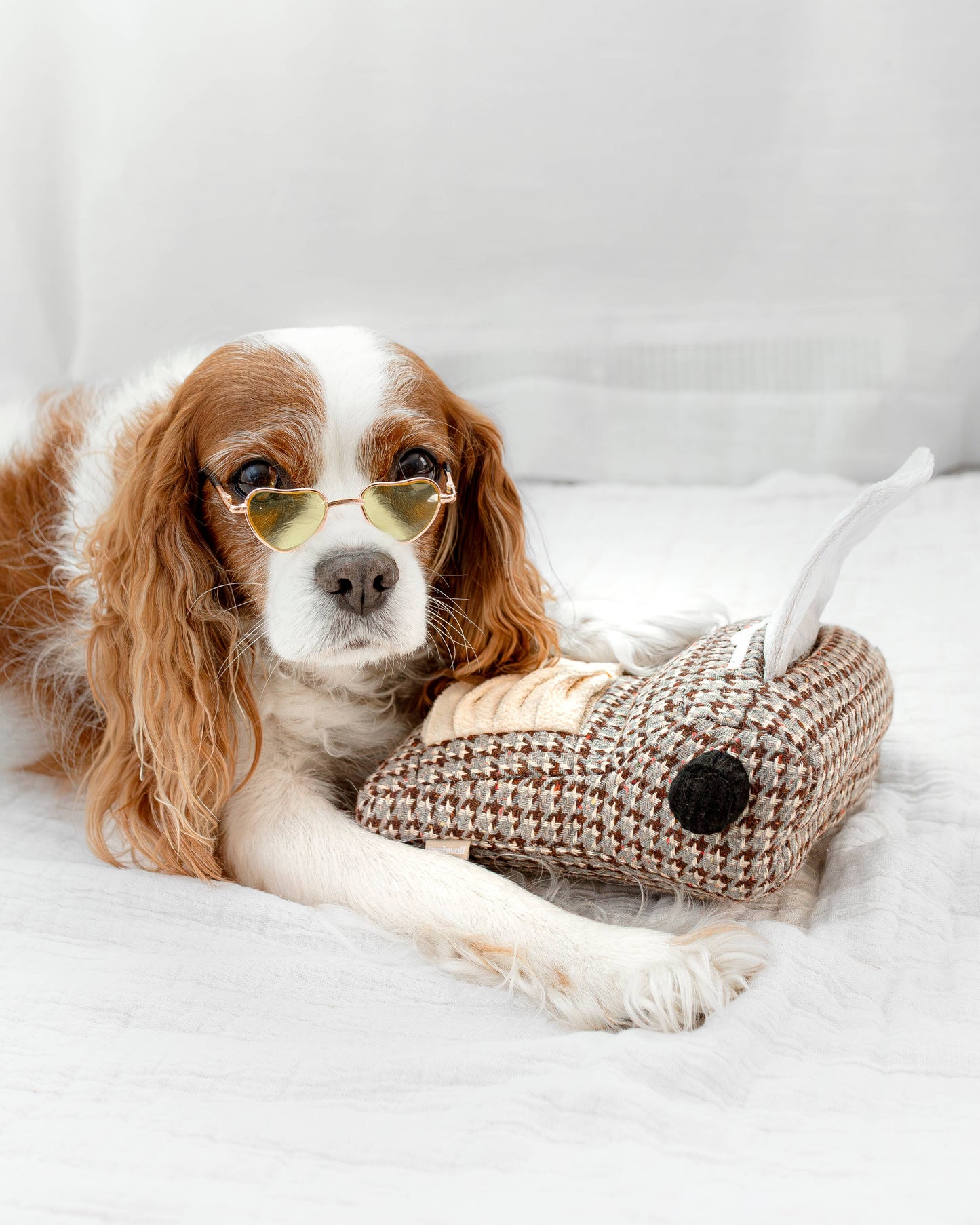 Lambwolf Collective: Typrewriter - Enrichment Dog Toy