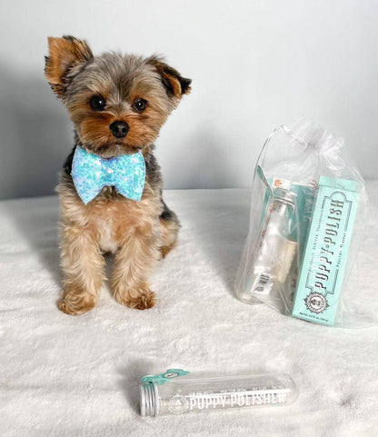 Wag & Bright Supply Co.: Puppy Polisher Mini Eco Toothbrush (Small)