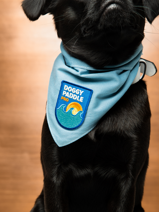 Scout's Honor - Doggy Paddle Pro iron-on patch for dogs
