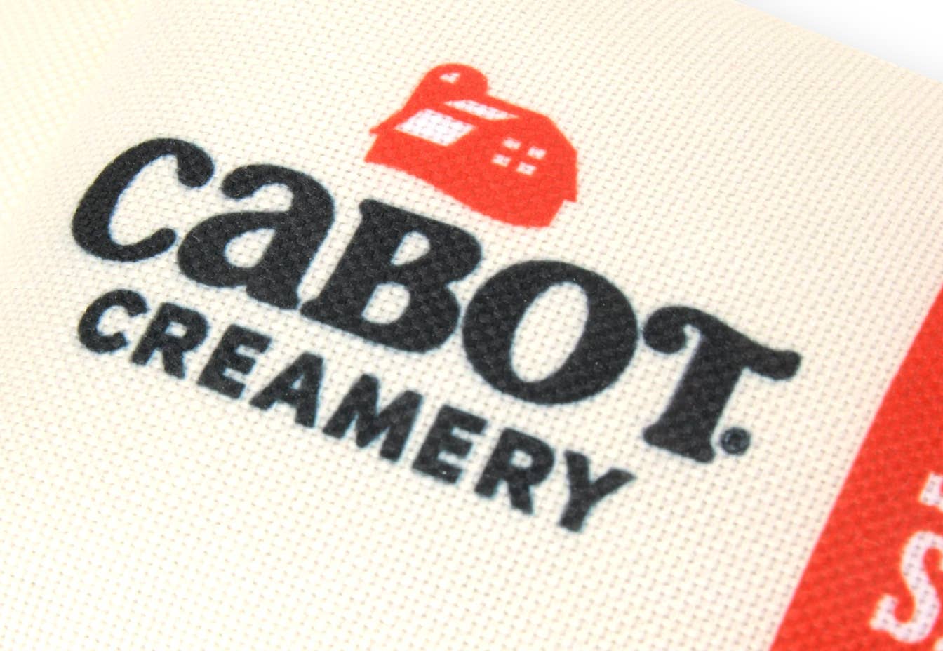 Play Pet Brands - P.L.A.Y. x Cabot Creamery Seriously Sharp Squeaker