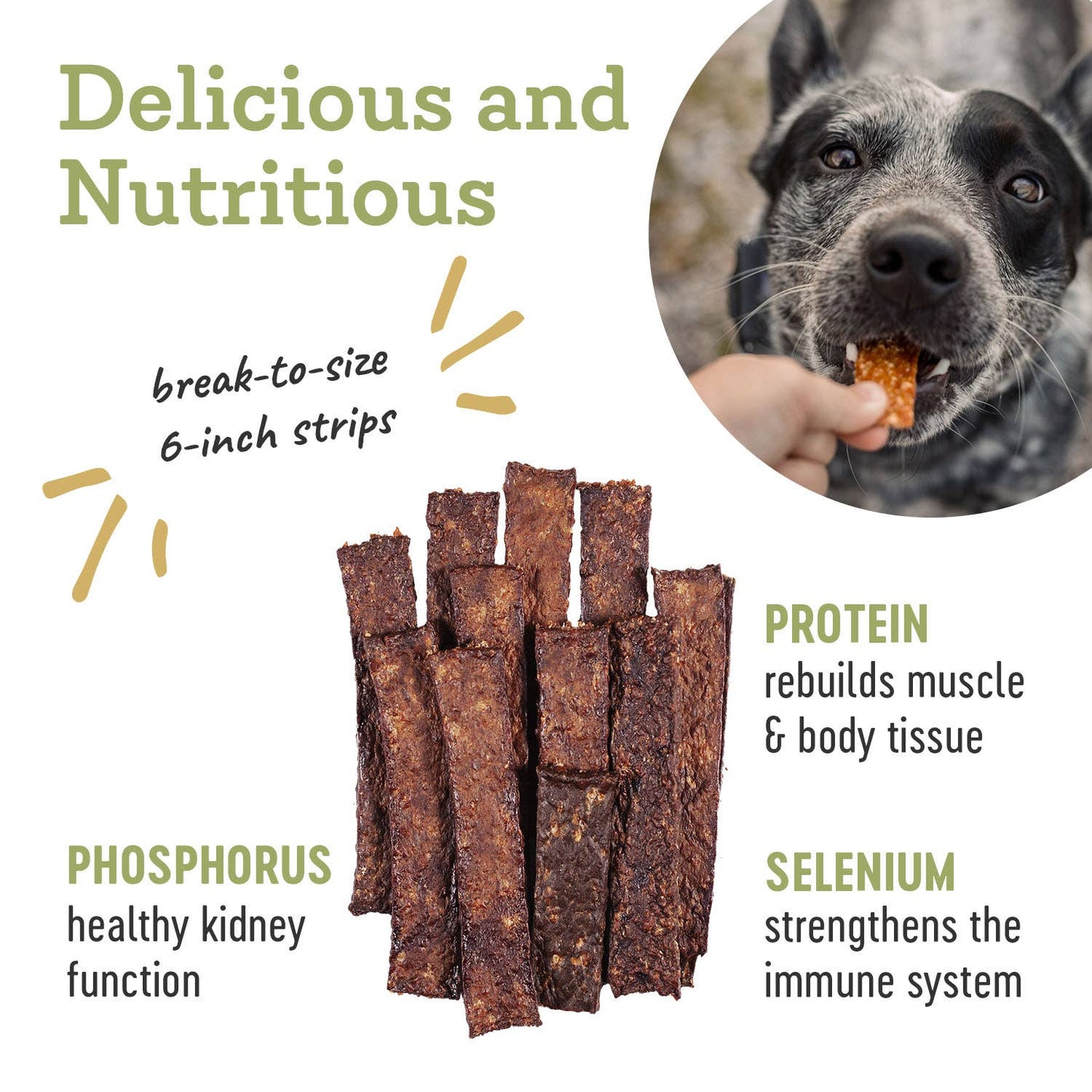 Farm Hounds - Beef Strips - All-Natural Dog Treats - 4.5 oz: 4.5oz
