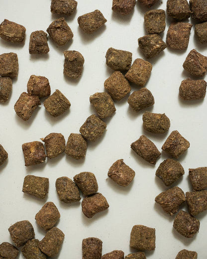 Bison Organ Blend Treats