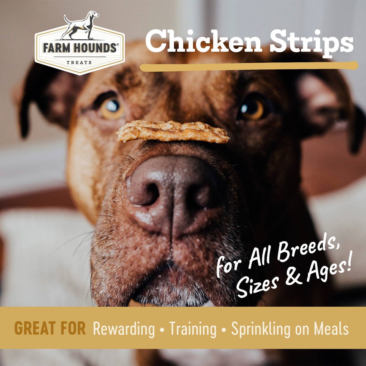 Farm Hounds - Chicken Strips - All-Natural Dog Treats - 4.5 oz: 4.5oz