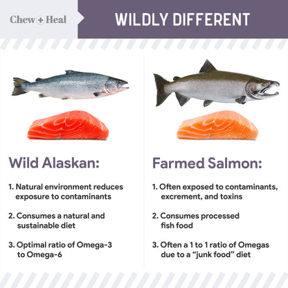 Chew + Heal : Senior Wild Alaskan Salmon Limited Ingredient Dog Treats: 5oz