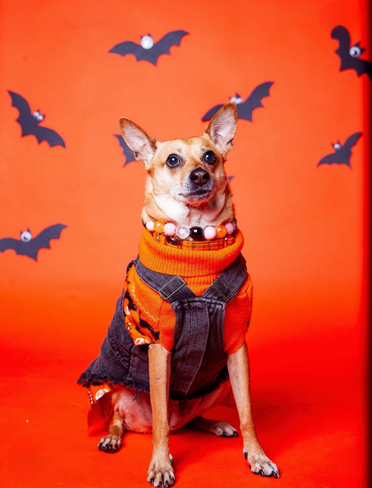 Halloween Pawtrait Pop Up – Dog Photoshoot Session | Brooklyn NYC