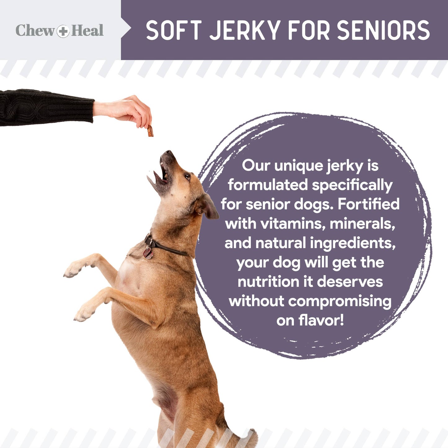Chew + Heal : Senior Wild Alaskan Salmon Limited Ingredient Dog Treats: 5oz