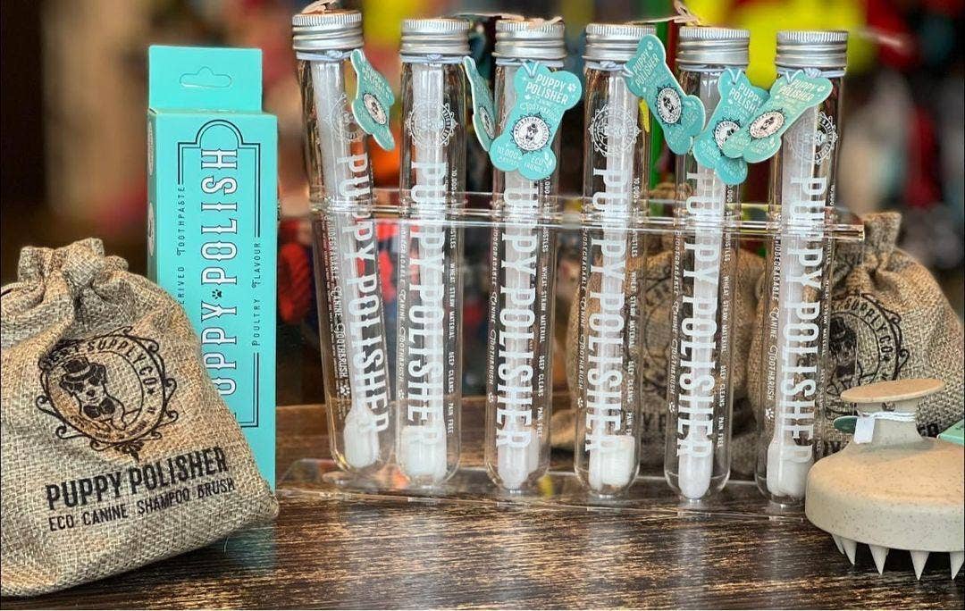 Wag & Bright Supply Co. : Puppy Polisher Eco Toothbrush - (Medium)