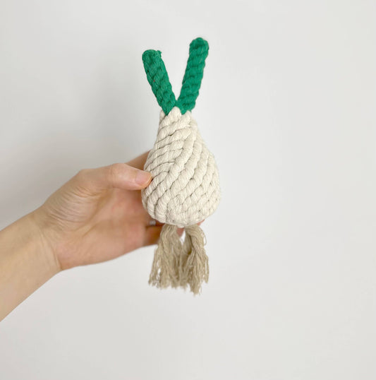 Monli Pet Toys: Handmade Vegetable Rope Toys, Macrame Toys: Onion