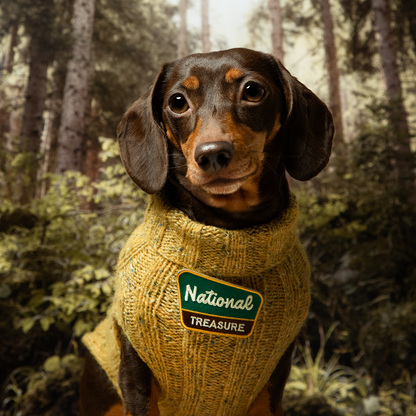 Scout's Honour - National Treasure iron-on patch for dogs