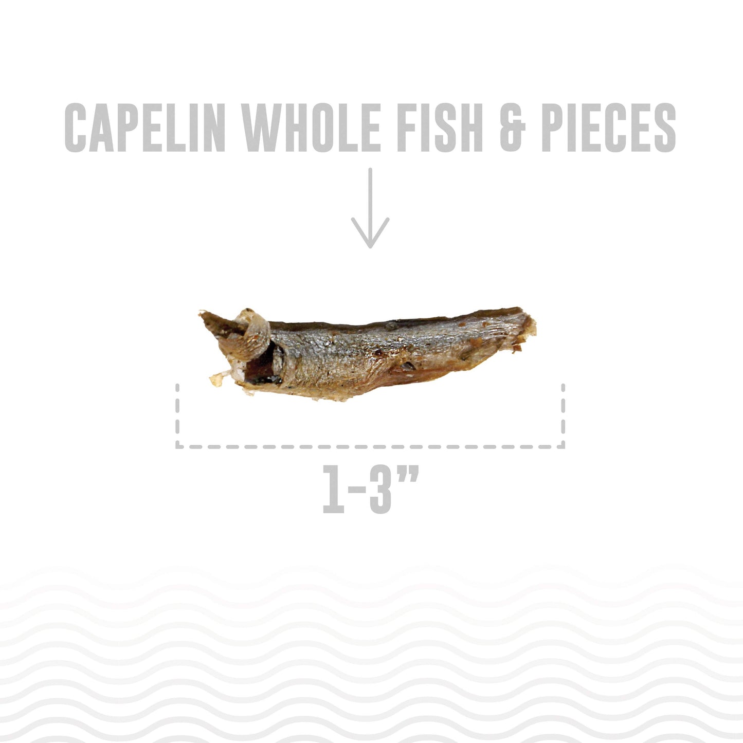 Icelandic+ - Capelin Whole Fish & Pieces Dog Treats 2.5 oz
